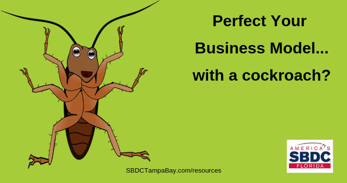 Perfect your business model with a cockroach startup