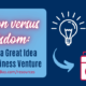 Passion versus Wisdom: Turning a Great Idea into a Business Venture