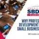 Why Professional Development is Key to Small Business Success
