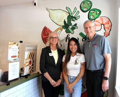 V-Roll Vietnamese Rolls & Bowls of Pinellas County