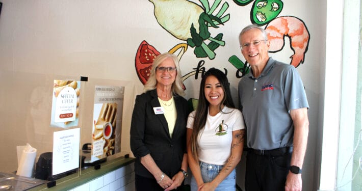 V-Roll Vietnamese Rolls & Bowls of Pinellas County